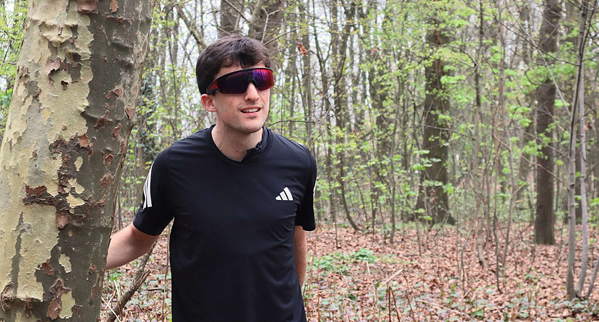 Twee beelden: mist trekt door een rotsachtig berglandschap; koe staat in een weide met bomen.