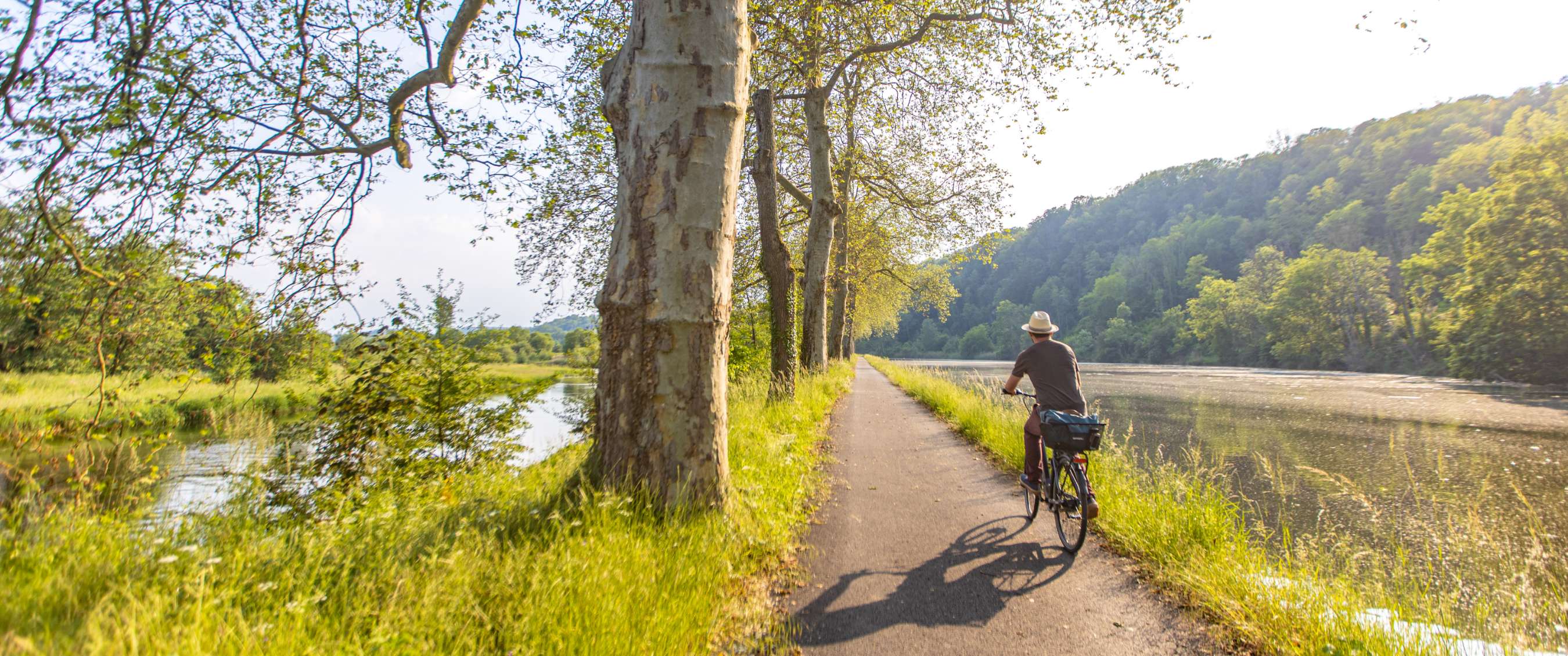 Cycliste sur un chemin arboré au bord de la rivière dans la lumière du soir.