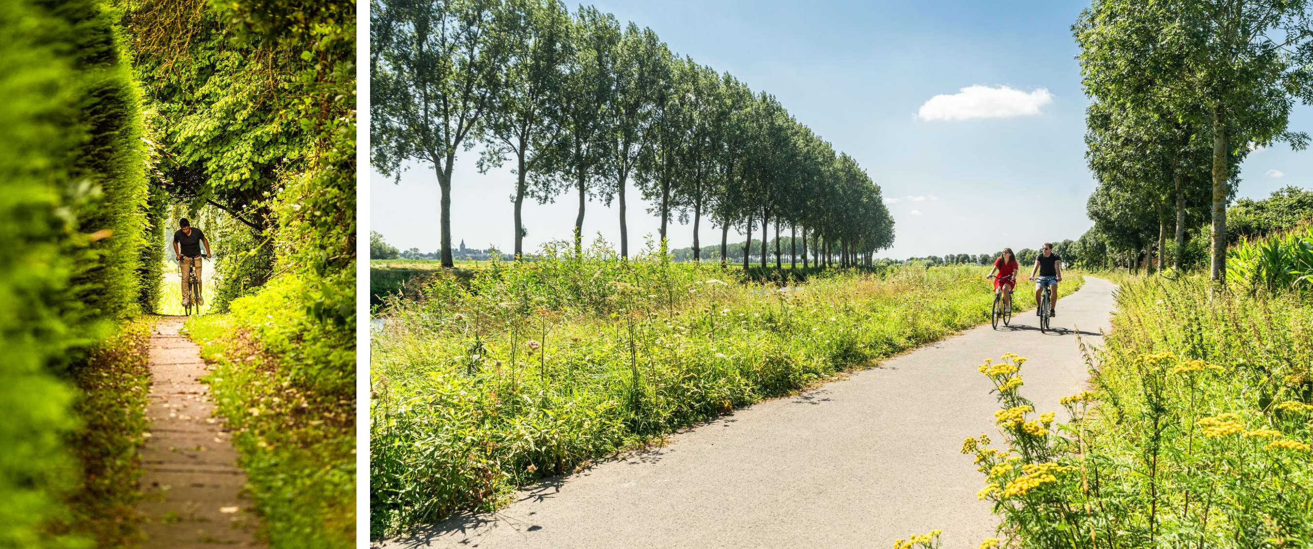 Deux images : cycliste sous les feuillages et deux cyclistes entre arbres et champs.