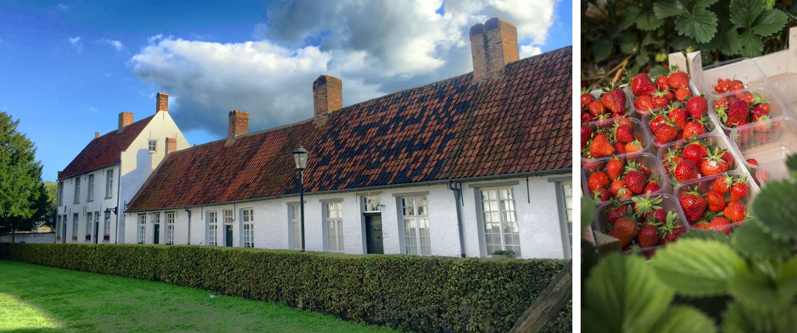 Deux images : maison blanche au toit rouge et barquettes de fraises entre feuilles vertes.