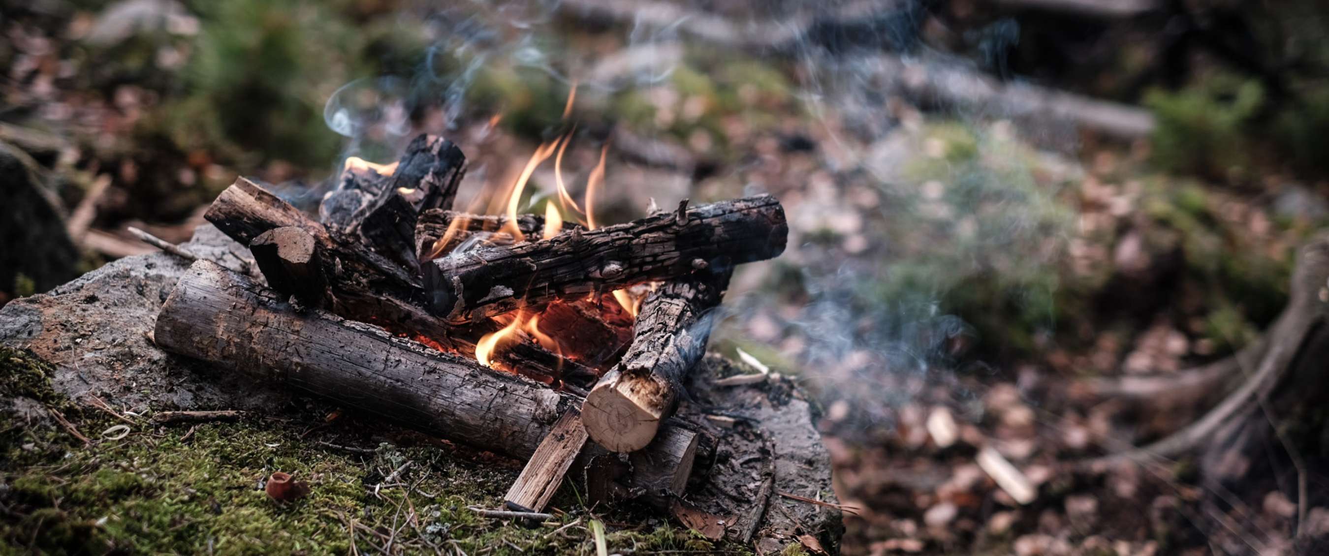 Petit feu de camp avec des bûches en feu et de la fumée dans un environnement boisé.