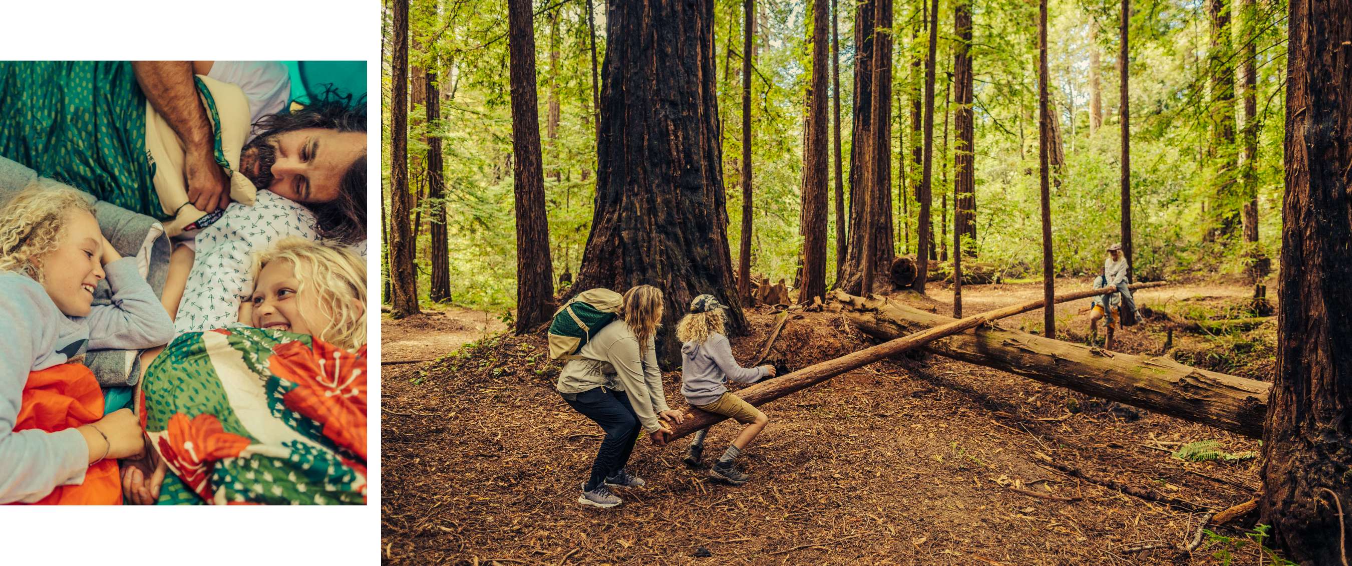 Des enfants jouent sur une balançoire en tronc, aidés par des adultes dans une forêt de grands arbres.