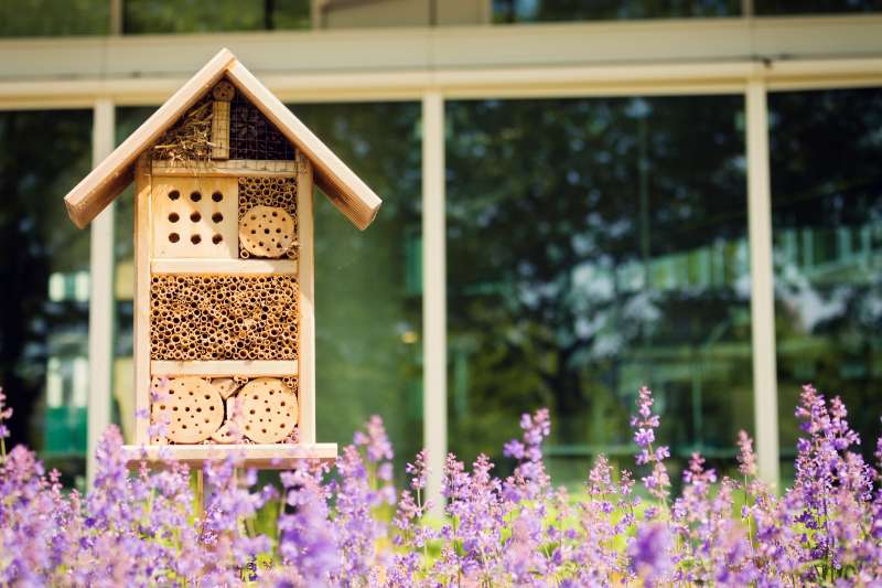 Envie d’avoir plus de vie dans votre jardin ? Voici 9 conseils pour favoriser la biodiversité
