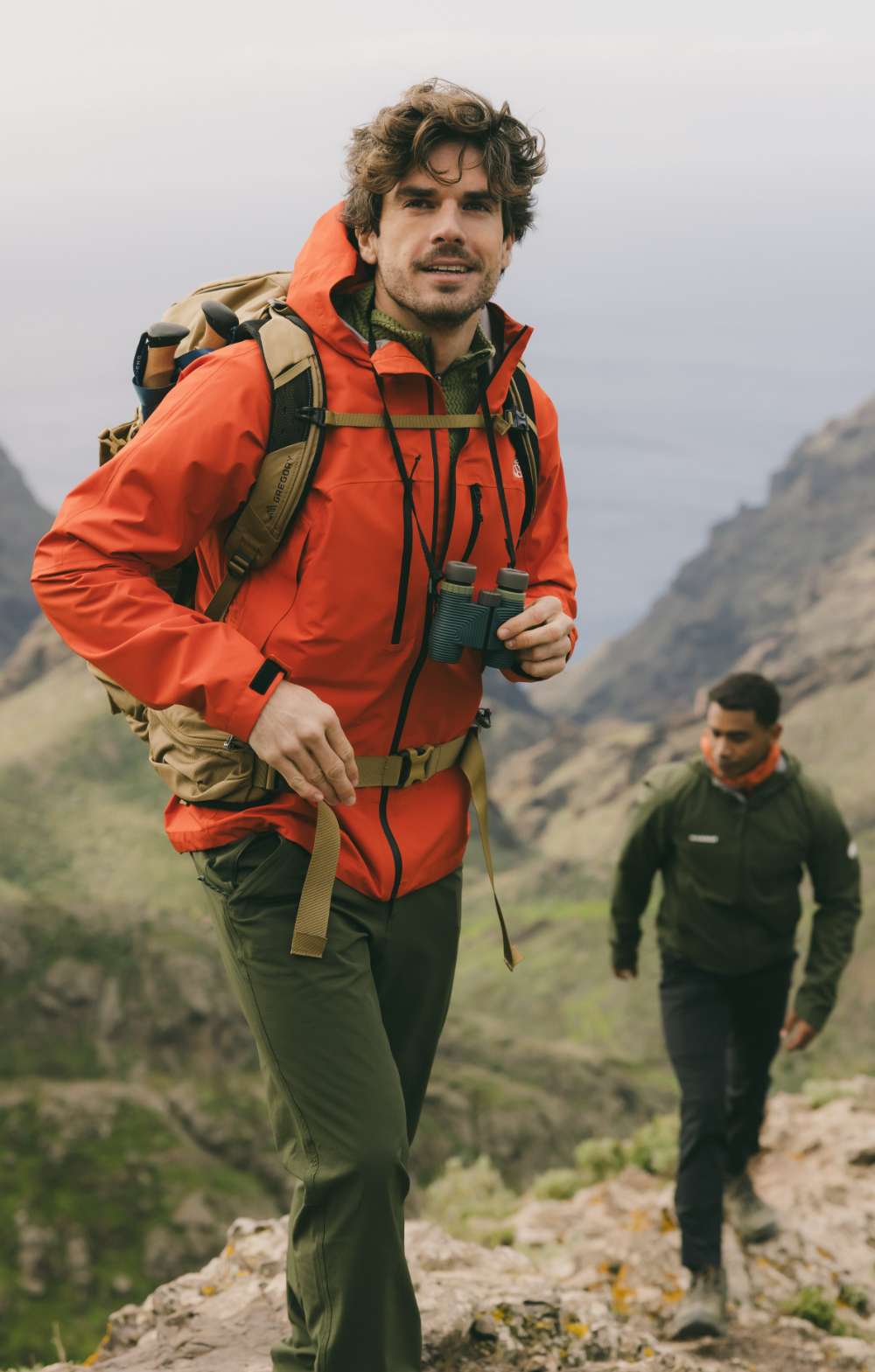 Twee beelden: mist trekt door een rotsachtig berglandschap; koe staat in een weide met bomen.