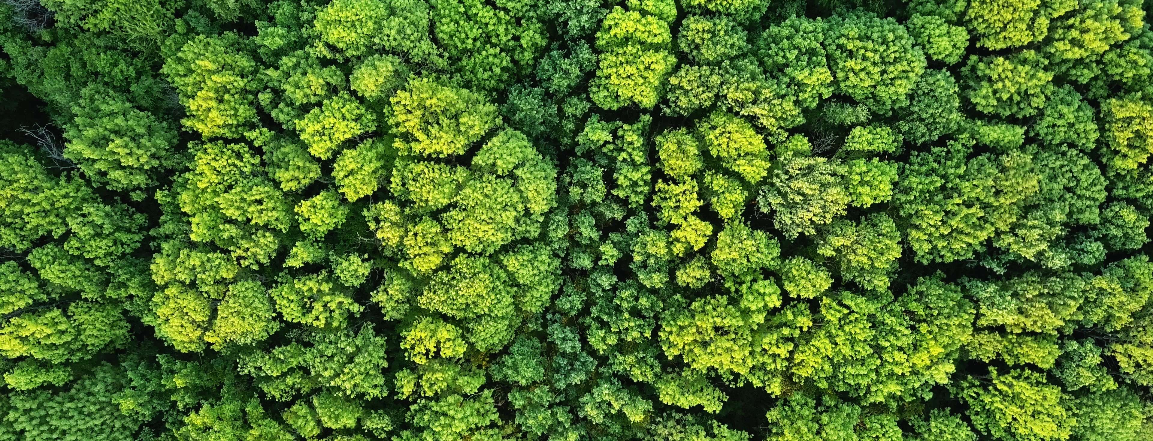 10 questions à Claudia, experte en durabilité, pour acheter plus responsable