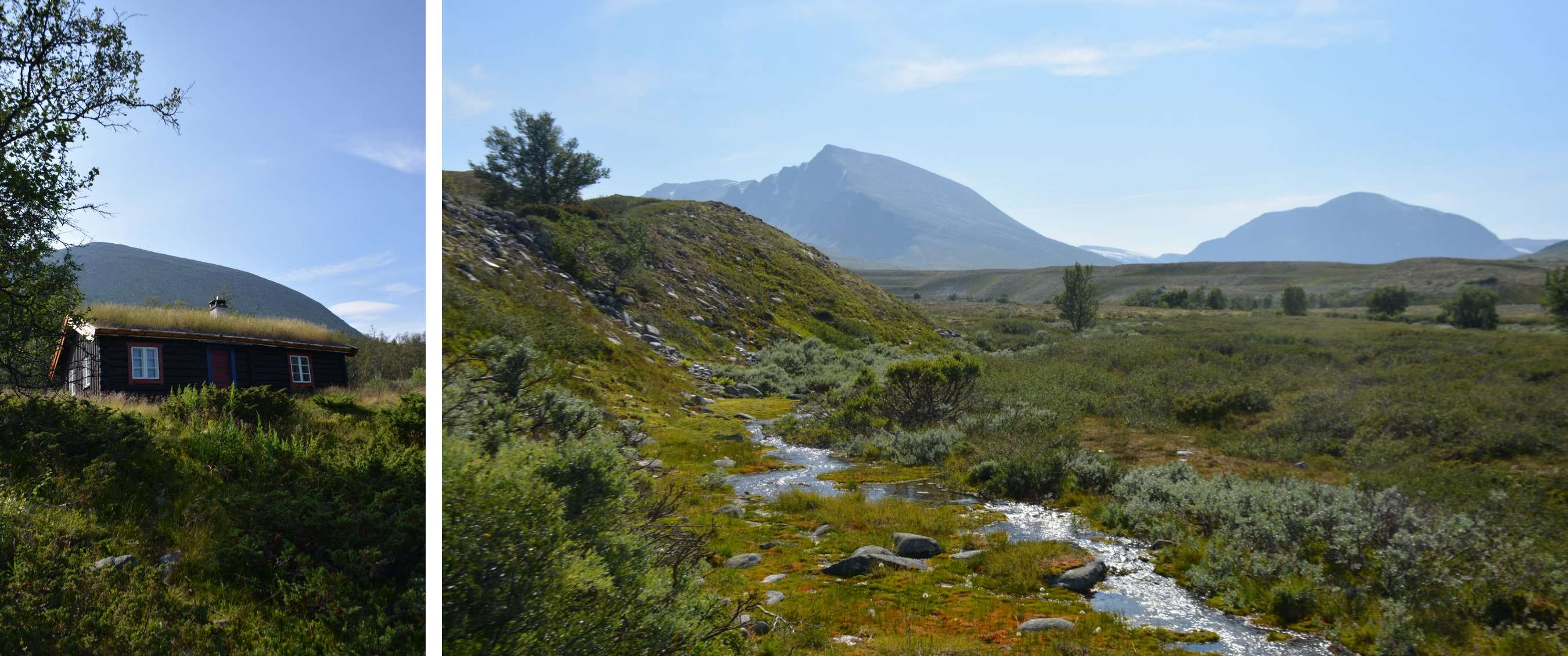 Paysage montagneux avec ruisseau sinueux, végétation basse et sommets rocheux sous un ciel bleu.
