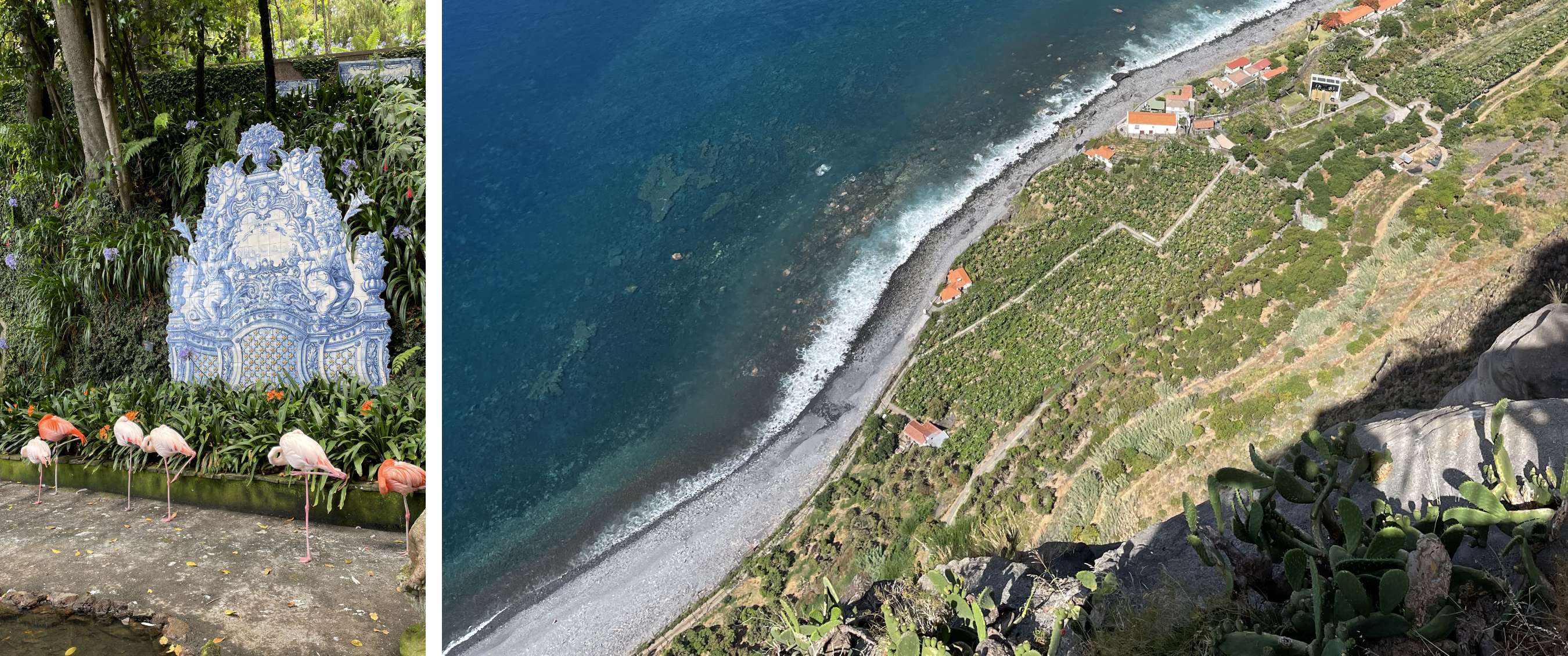 Deux images : flamants roses près d’un décor carrelé ; côte élevée avec maisons au bord de la mer