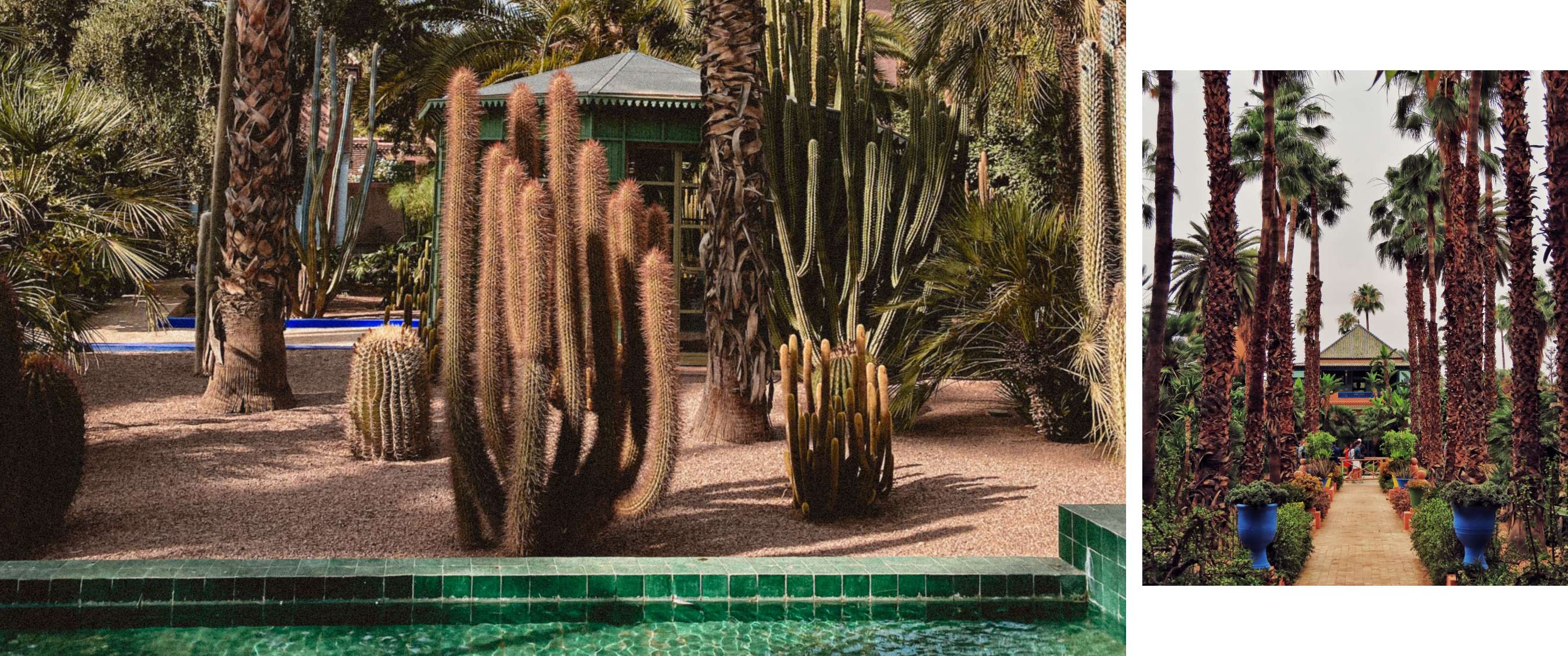 Deux images : jardin avec grands cactus et palmiers ; sentier bordé de palmiers et de pots colorés.