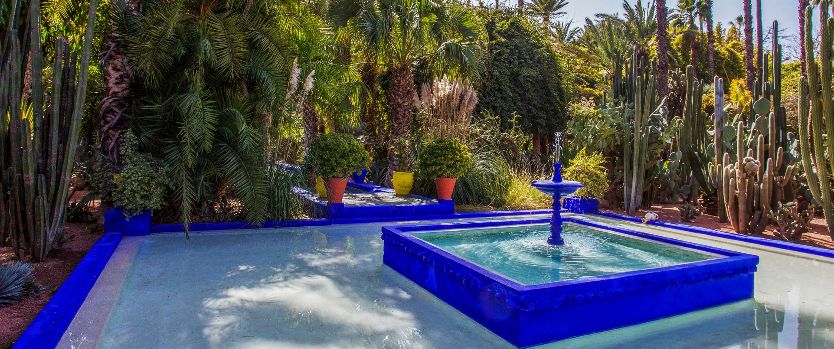 Fontaine carrée bleue dans un jardin luxuriant avec palmiers, cactus et pots colorés.