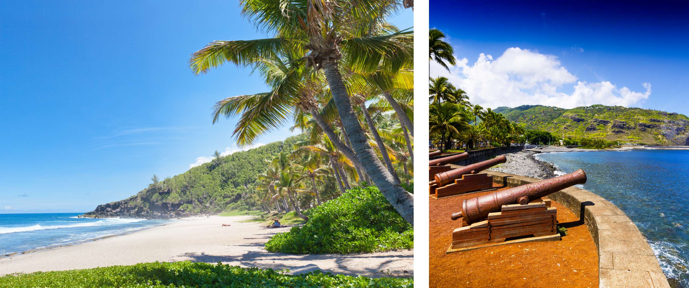 Deux images : Plage tropicale avec palmiers inclinés et mer calme ; rangée d’anciens canons sur un mur côtier en pierre avec vue sur l’eau.