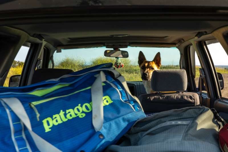 Sacs de voyage Black Hole de Patagonia : solides, fonctionnels et durables