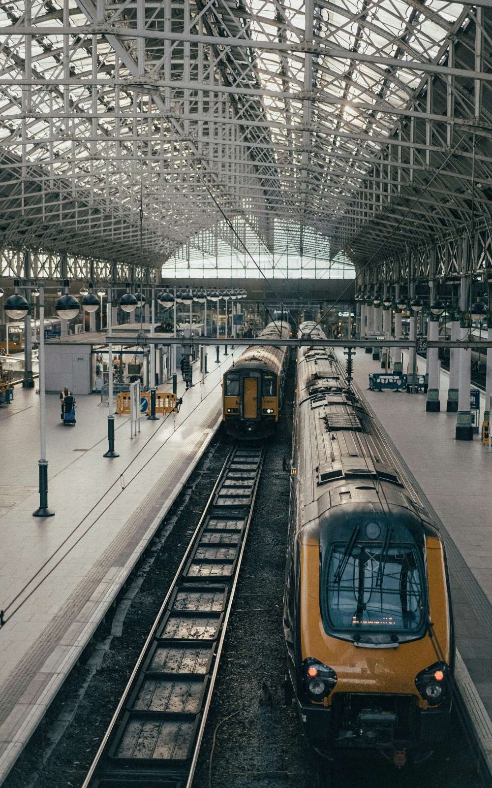 Deux trains à quai sous la verrière d’une gare.