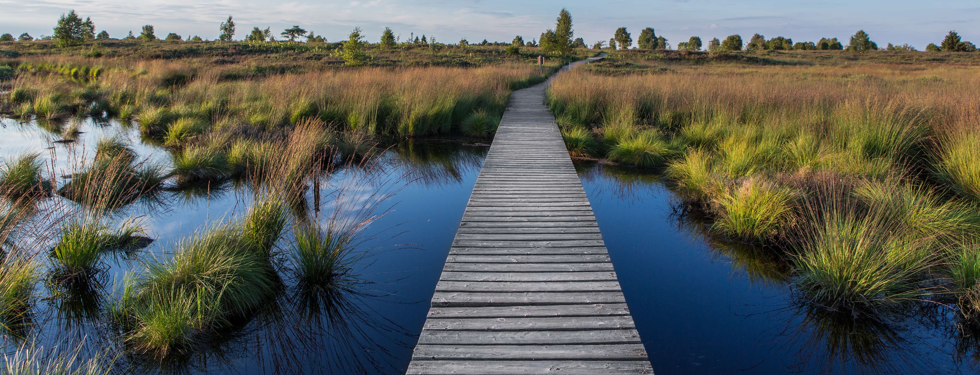 Escapades aux aurores : les plus belles randonnées matinales