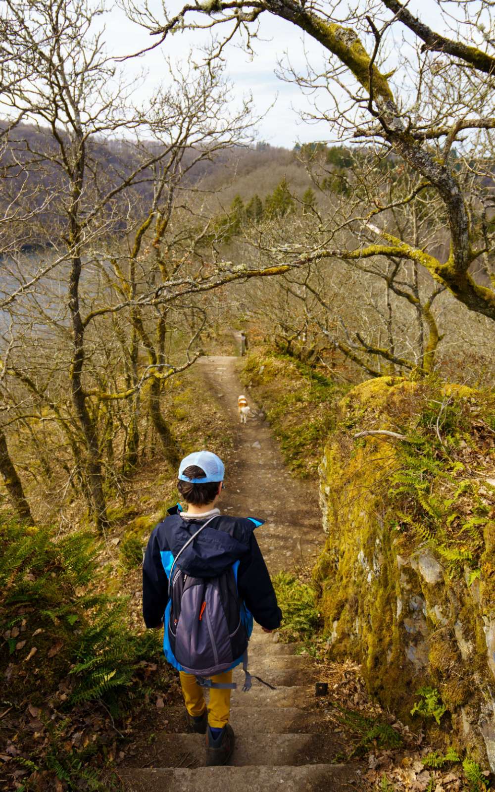 Sentier avec escalier entre murs moussus et arbres dans un paysage vallonné.