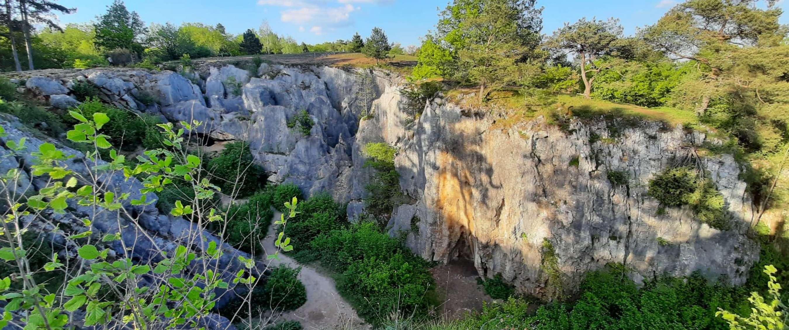 Sentier serpentant dans une gorge avec hautes parois rocheuses et basse végétation.