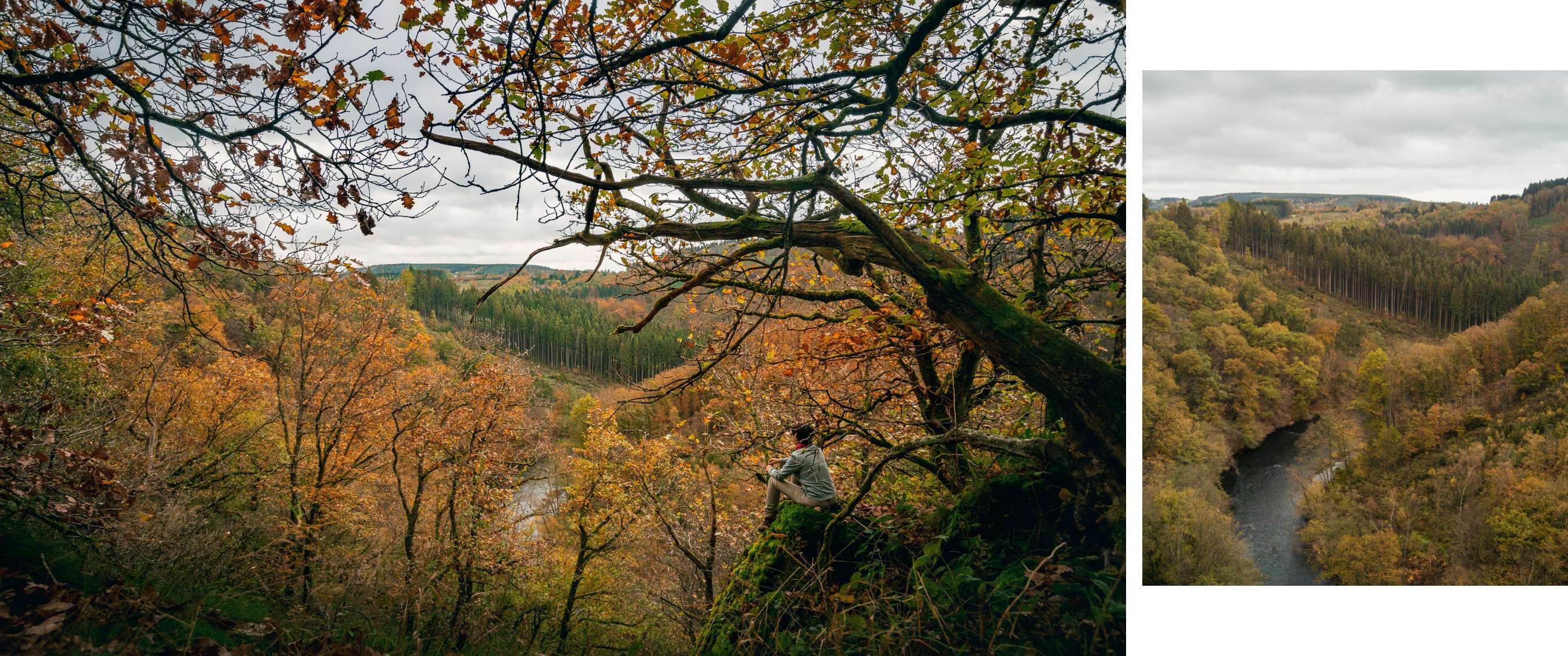 Deux images : personne assise sur un rocher au-dessus d’une forêt d’automne et rivière en vallée boisée.