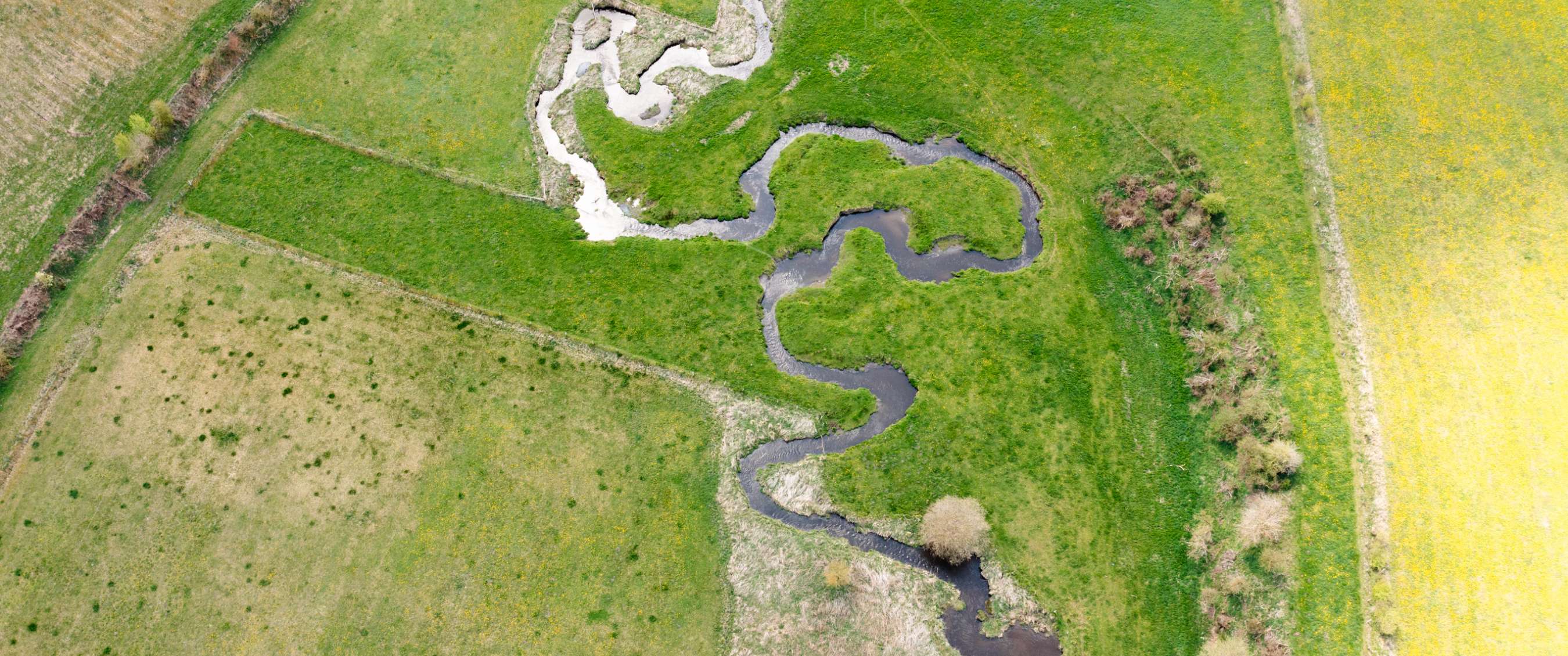 Vue aérienne d’un ruisseau sinueux traversant une prairie verte.