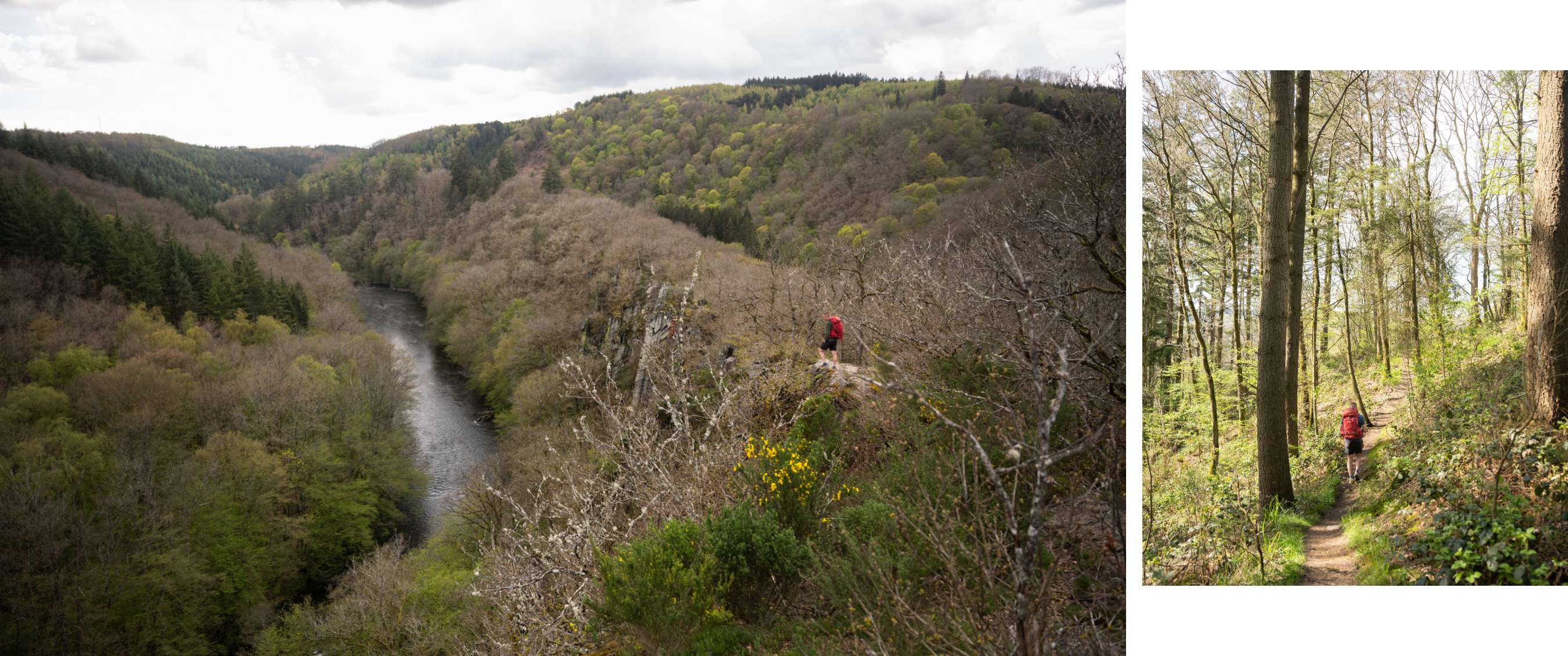 Deux images : paysage boisé vallonné avec randonneur et sentier étroit entre les arbres.