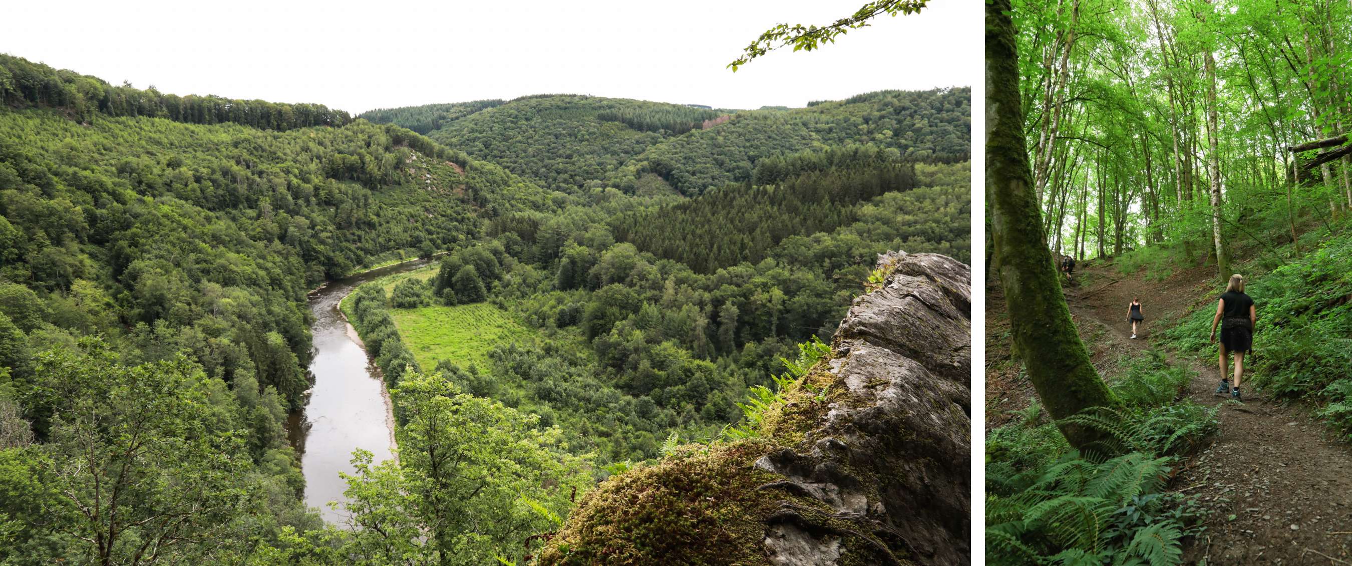 Deux images : rivière dans une vallée verte ; randonneurs sur un sentier forestier