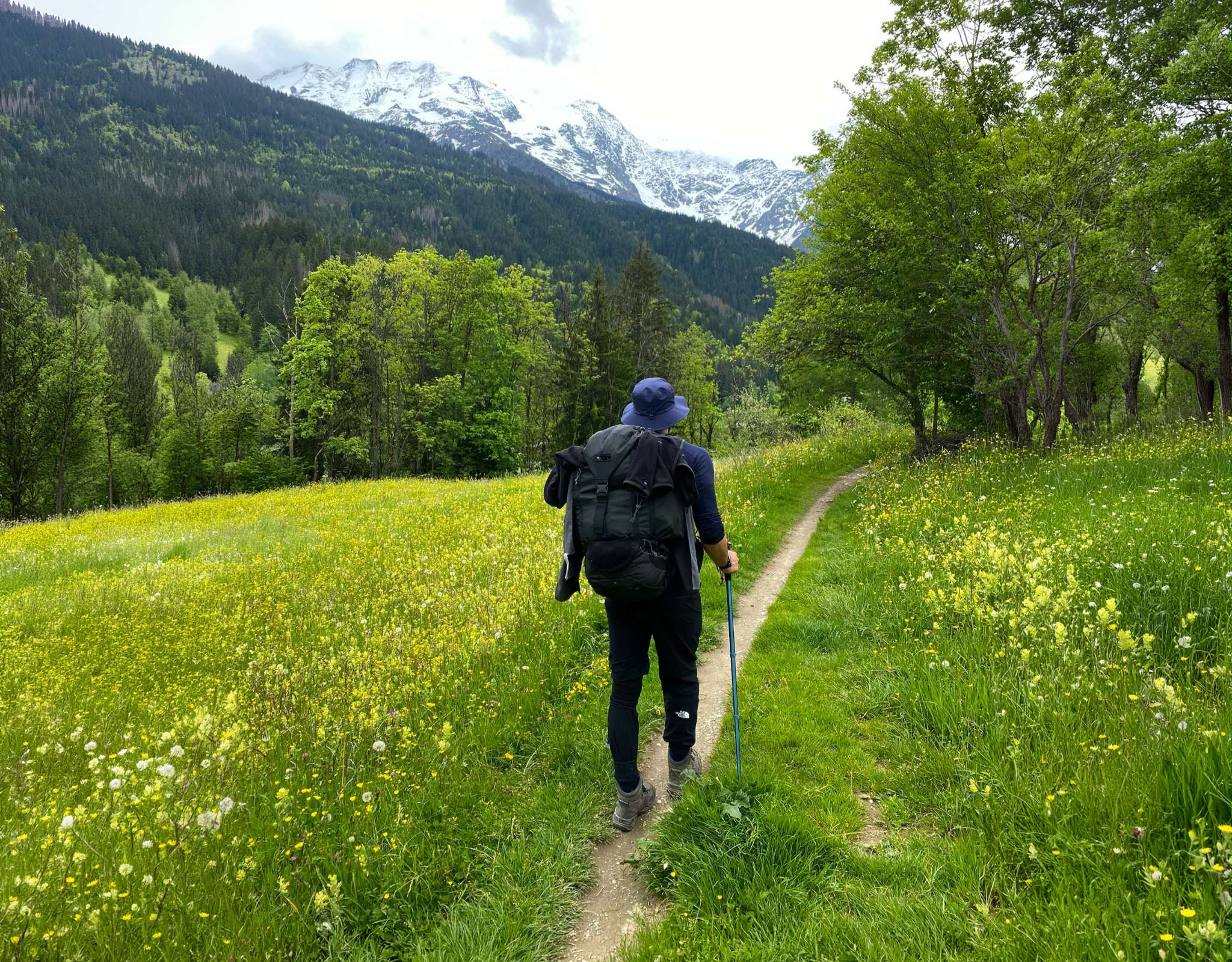 Randonneur avec sac à dos dans une prairie alpine vers des montagnes enneigées.