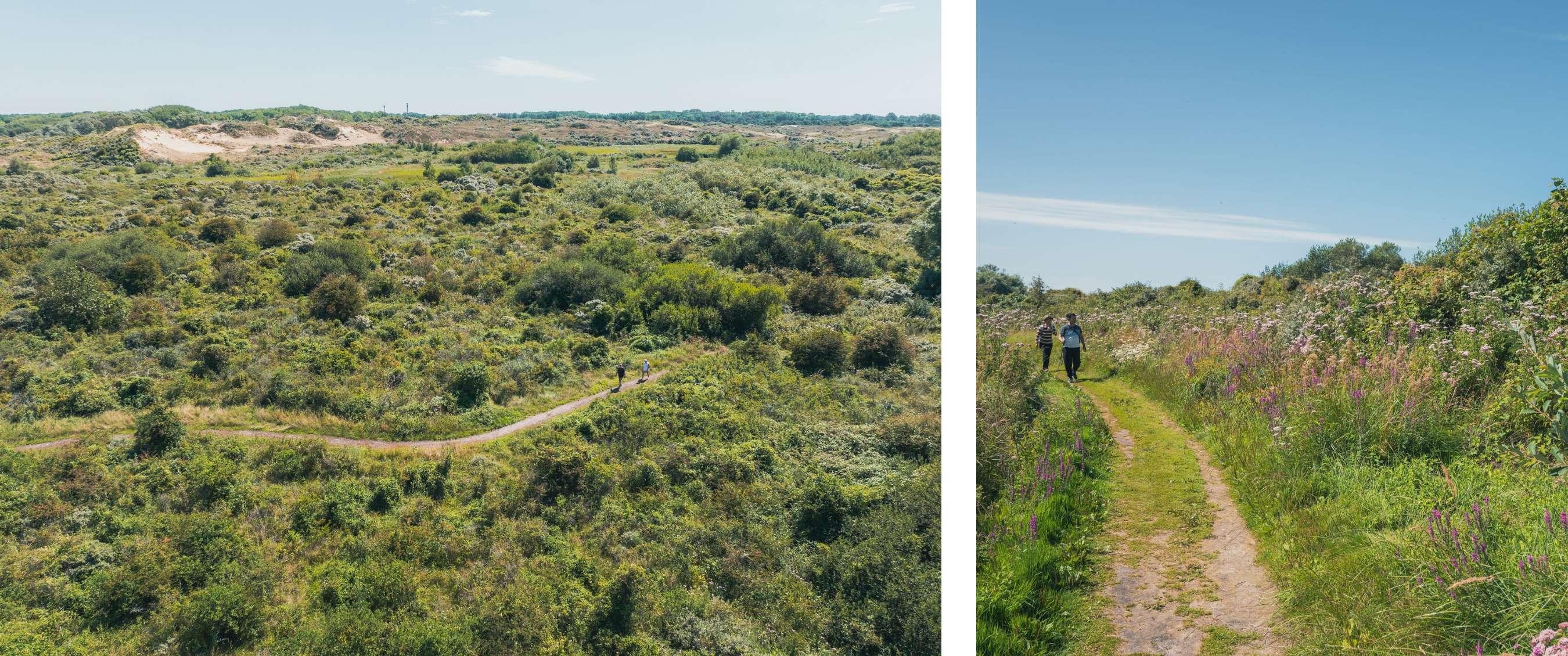 Deux images : sentier sinueux dans les dunes vertes ; deux marcheurs sur un chemin entre fleurs sauvages.