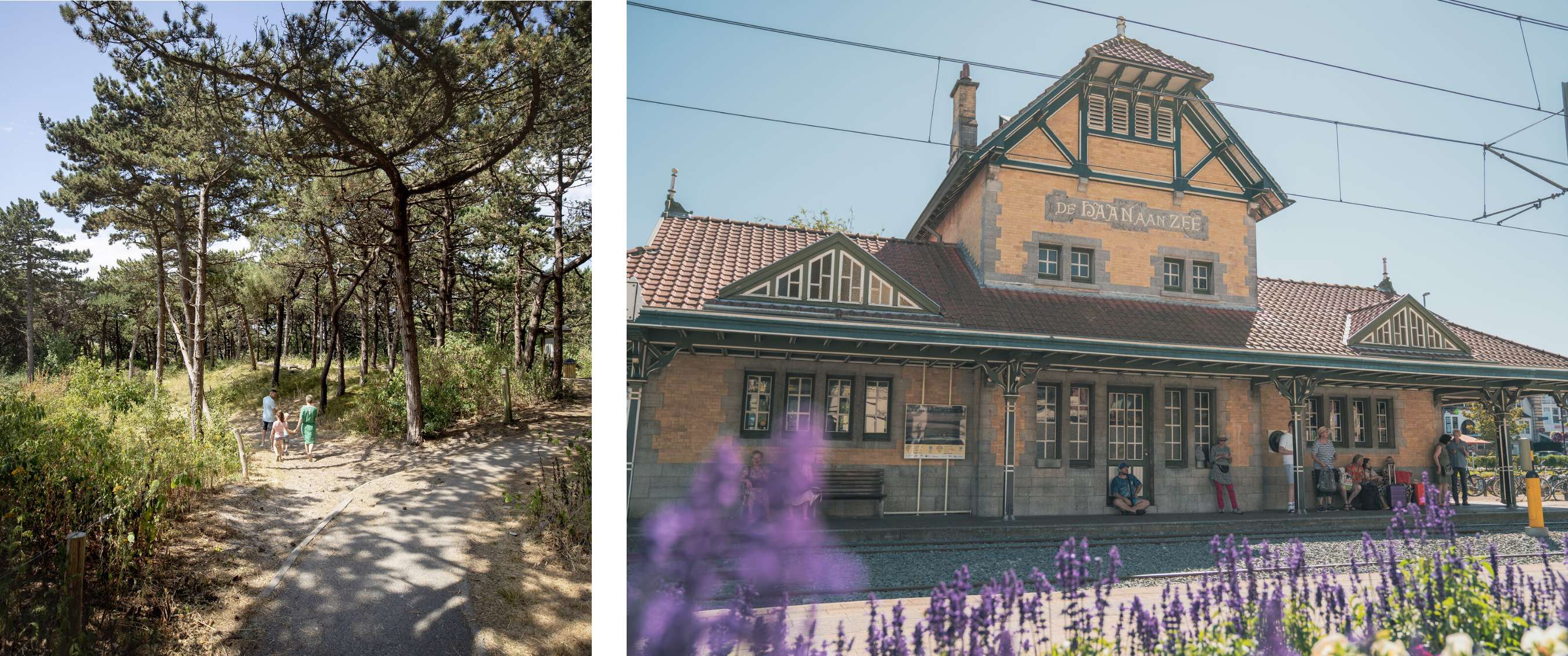 Deux images : personnes marchant sur un sentier dans une forêt de pins ; gare “De Haan aan Zee” avec voyageurs.