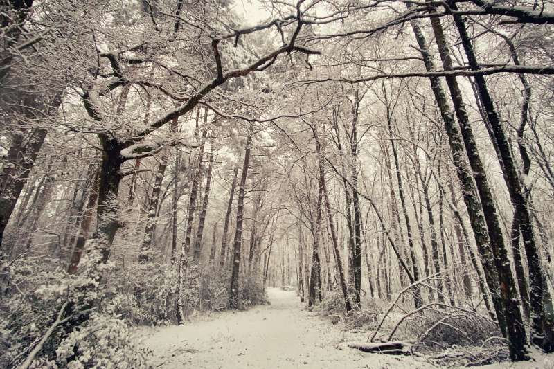 Randonner dans la neige : les plus beaux sentiers en Belgique
