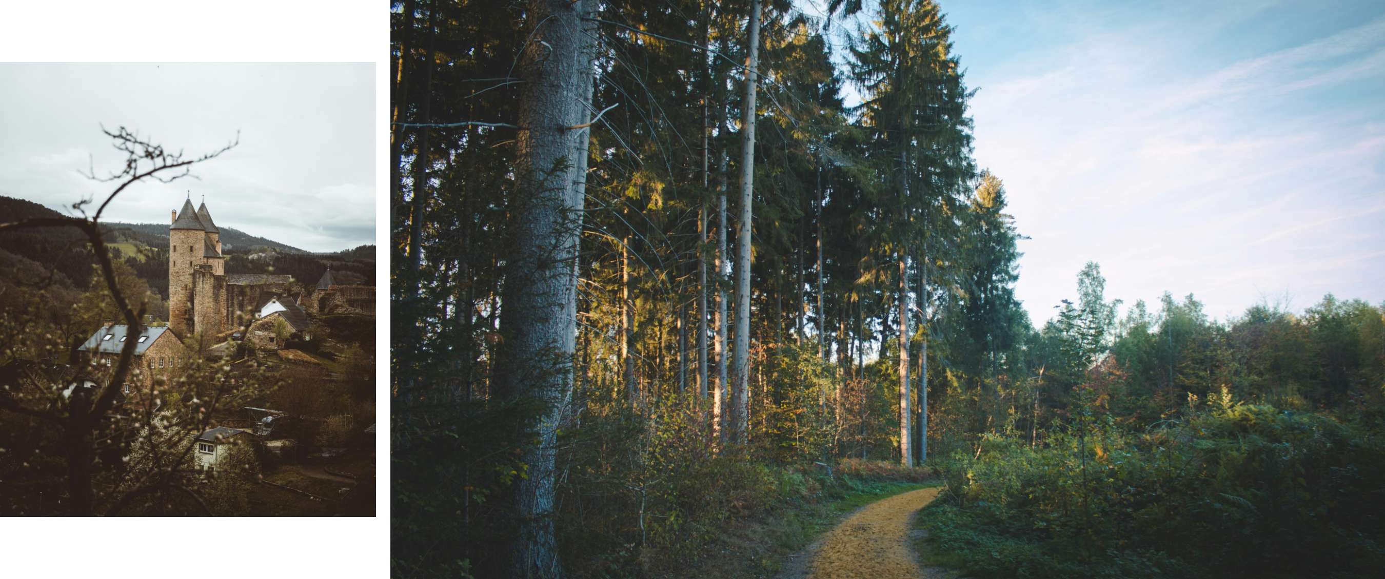 Twee beelden: mist trekt door een rotsachtig berglandschap; koe staat in een weide met bomen.