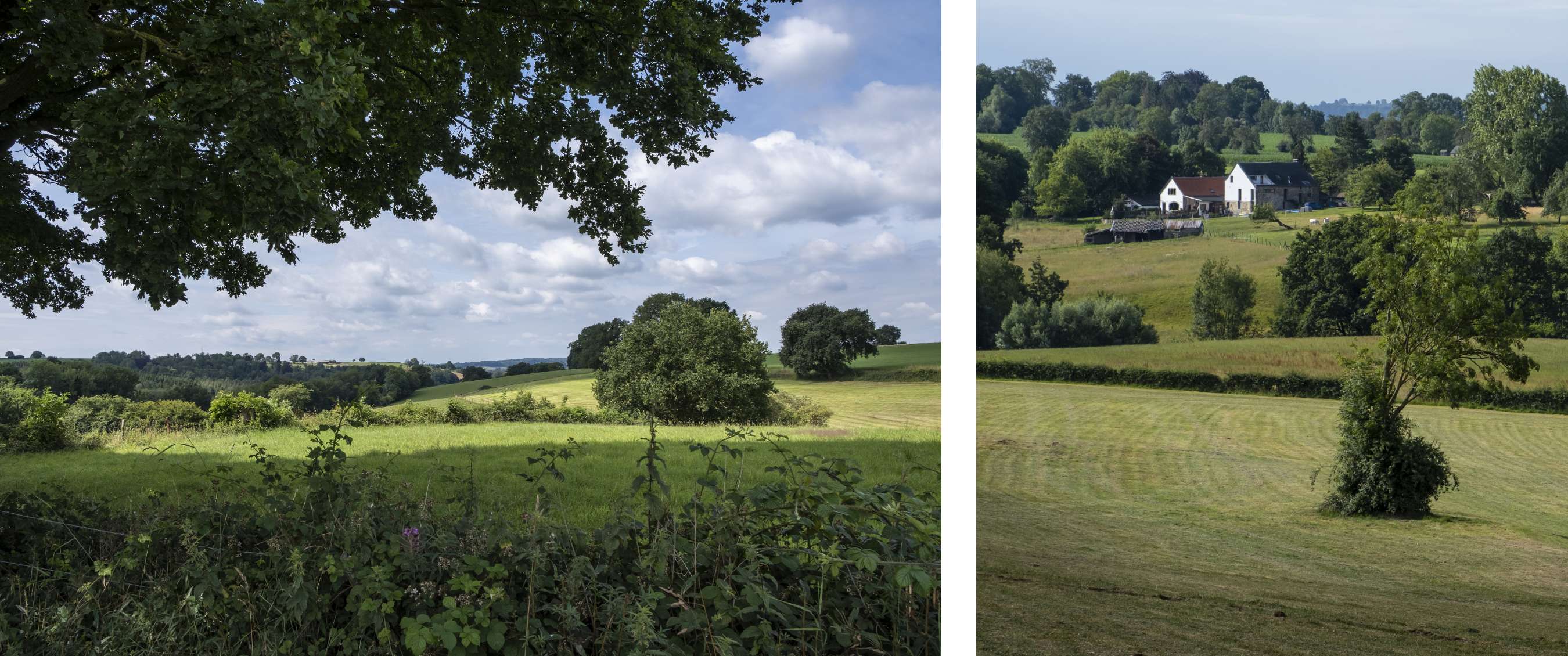 Deux images : vue lointaine sur arbres et prairies ; ferme dans un paysage vallonné.