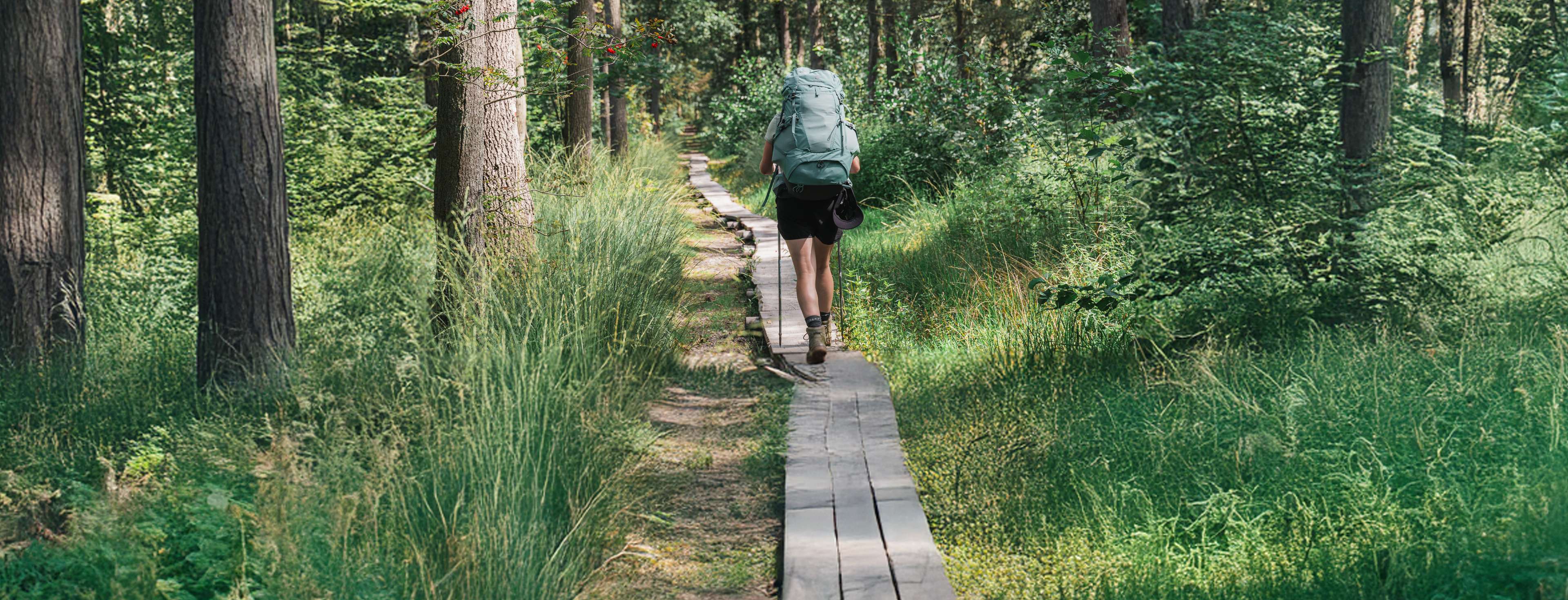 12 randonnées dans le Limbourg : les plus beaux itinéraires