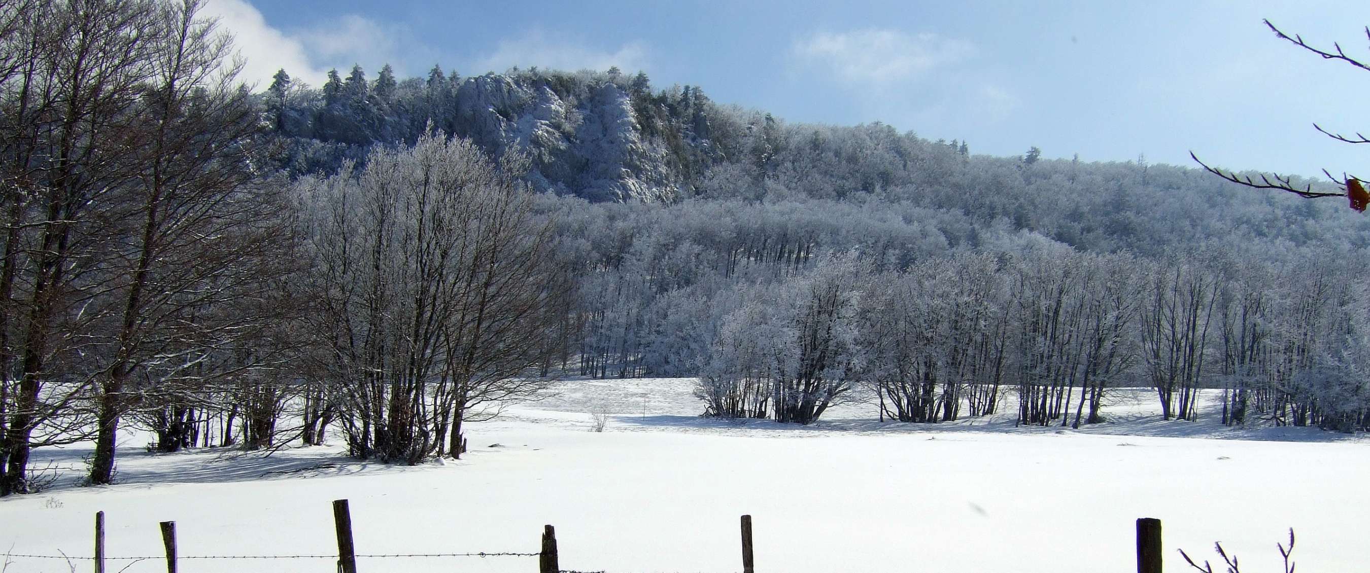 Une épaisse couche de neige recouvre un champ entre arbres dénudés et pente boisée.