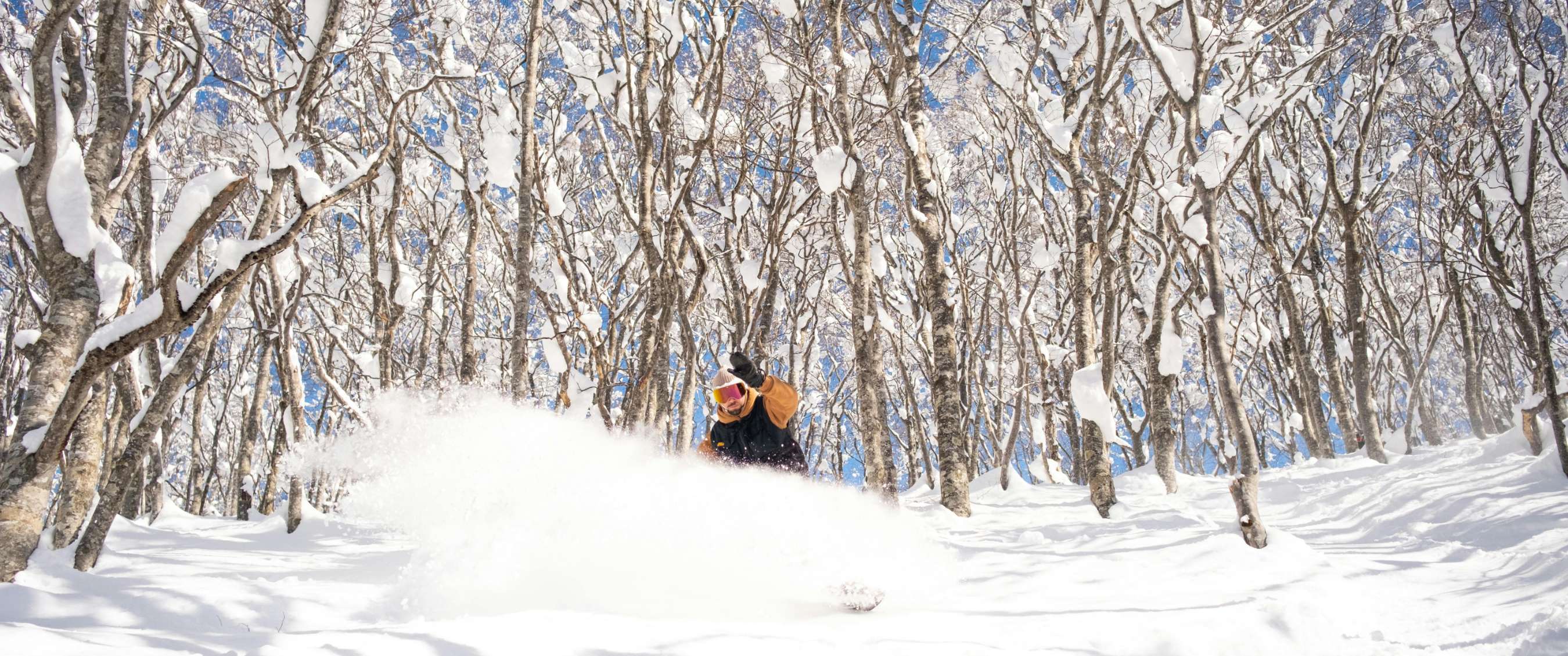 Snowboarder glissant dans la neige fraîche entre des arbres enneigés.