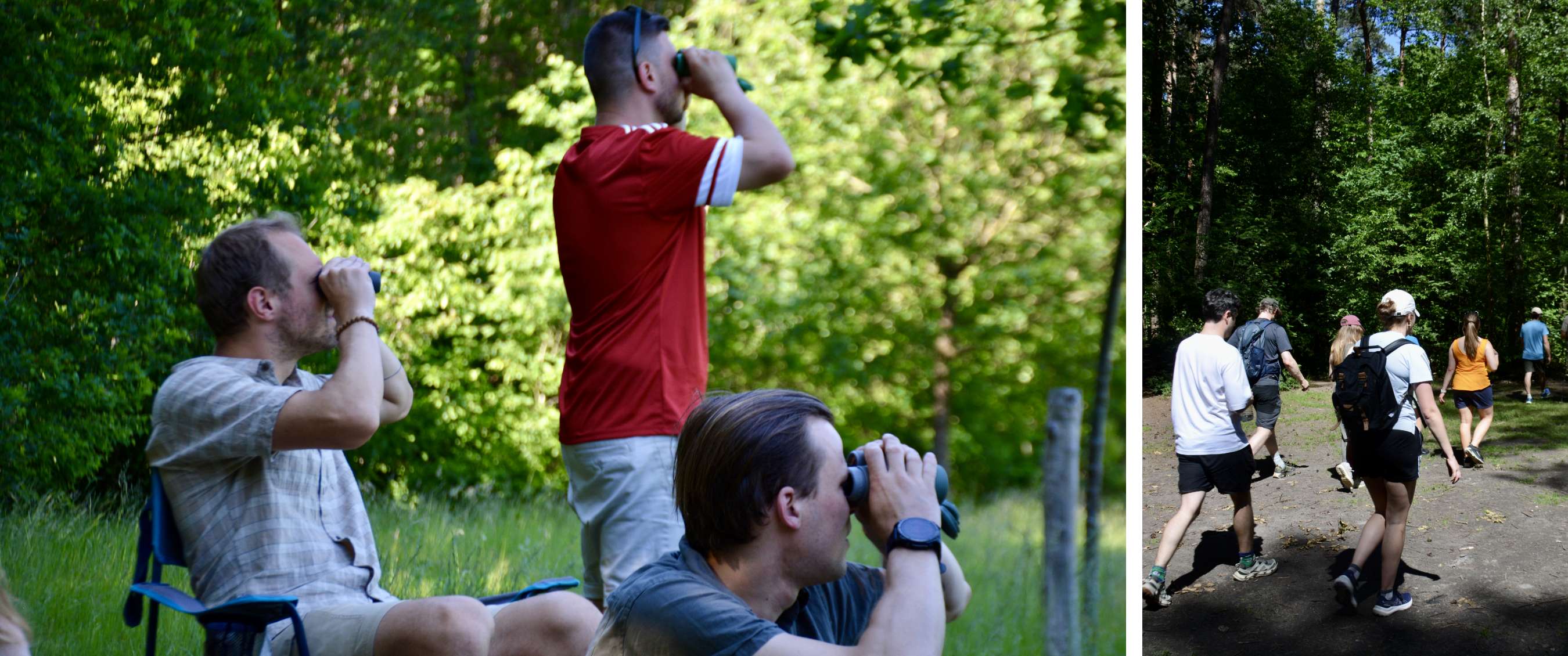 Deux images : observation avec jumelles en forêt et groupe de personnes marchant entre de grands arbres.
